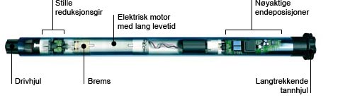 Motor NO