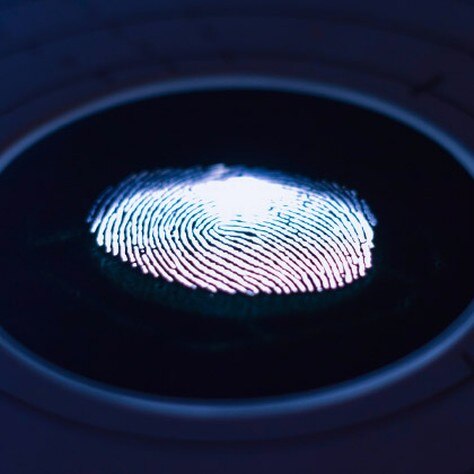 fingerprint