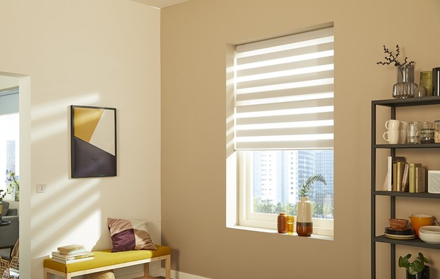 Somfy - living room blind